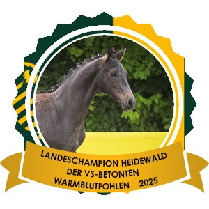 Landesfohlenchampion der VS-betonten Vesländer Heidewald