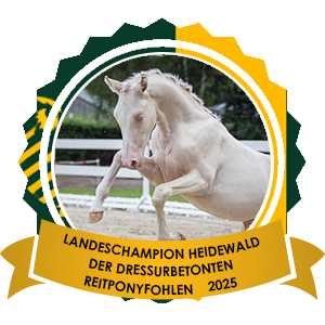 16.08.2025: Landesfohlenchampionesse der dressurbetonten Vesländer Reitponys Heidewald Landesfohlenchampionesse der dressurbetonten Vesländer Reitponys Heidewald