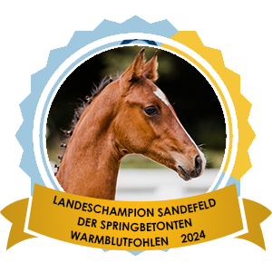 17.08.2024: Landesfohlenchampion Sandefeld der springbetonten Warmblüter Landesfohlenchampion Sandefeld der springbetonten Warmblüter