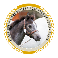 01.10.2023: Siegerin der Cibus Prämien-Fohlenschau Ponys Siegerin der Cibus Prämien-Fohlenschau Ponys