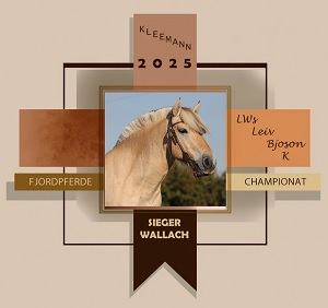 Sieger der Wallachschau beim Fjordpferdechampionat 2025 auf Turnierstall Kleemann