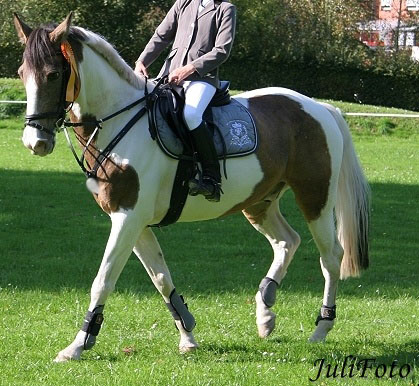 Bild 2