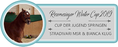 Reservesieg Winter Cup der Jugend Springen 2019