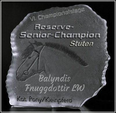 Reservesiegerin Senior-Stuten Ponys und Kleinpferde bei den VI. Championatstagen