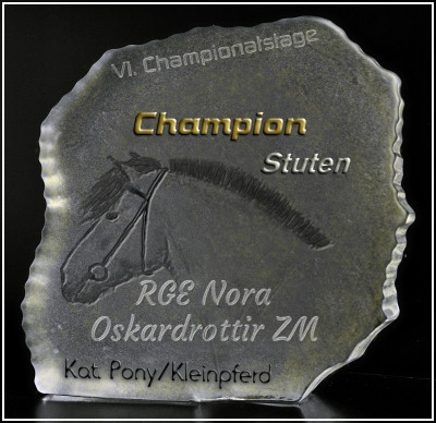 Champion Pony- und Kleinpferdestuten bei den VI. Championatstagen