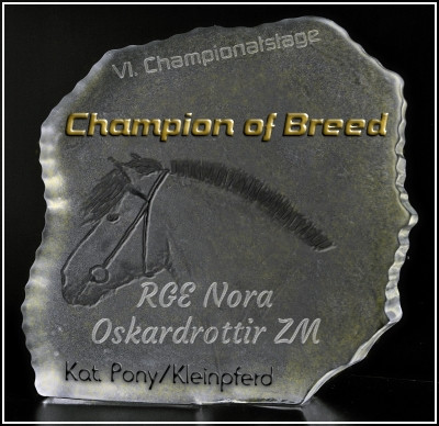 Champion of Breed Ponys und Kleinpferde bei den VI. Championatstagen