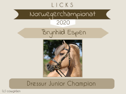 Dressur Junior Champion bei Licks Fjordpferdechampionat 2020