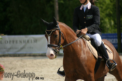 Bild 2