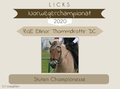 Stuten Championesse bei Licks Fjordpferdechampionat 2020