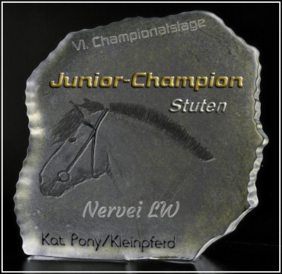 Junior Champion Pony- und Kleinpferdestuten bei den VI. Championatstagen