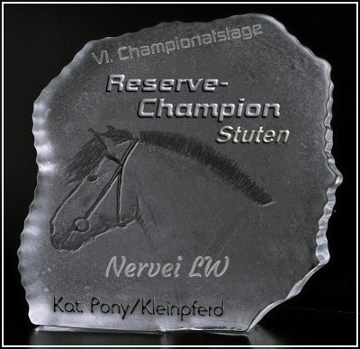 Reservechampion Pony- und Kleinpferdestuten bei den VI. Championatstagen