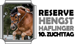 13.10.2024: Reservesieger Hengst Haflinger beim 10. VPR Zuchttag Reservesieger Hengst Haflinger beim 10. VPR Zuchttag