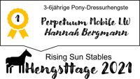 Sieger der 3-6jährigen Dressurhengste bei den Wolfshöhe Hengsttagen - Pony