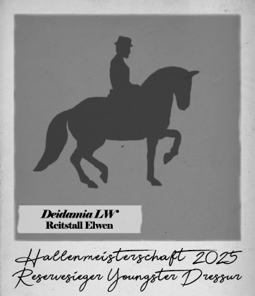 Reservesiegerin bei der Youngster Dressur der Hallenmeisterschaften 2025