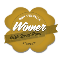 Siegerin des Irish Mare Spectacles der Irish Sport Ponys am Sternhof