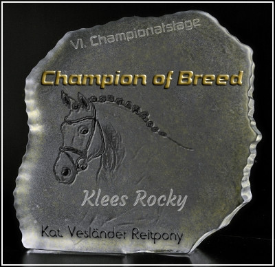 Champion of Breed Vesländer Reitponys bei den VI. Championatstagen
