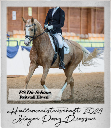 Siegerin bei der Pony Tour Dressur der Hallenmeisterschaften 2024 auf dem Lindenhof