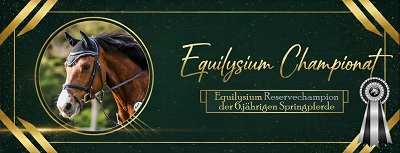Reservechampionesse der 6järigen Springpferde beim Equilysium Championat 2025