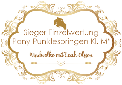 Einzelsieg Pony-Punktespringen Klasse M*