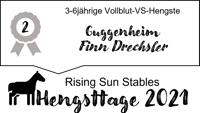 Reservesieger der 3-6jährigen Vielseitigkeitshengste bei den Wolfshöhe Hengsttagen - Vollblut