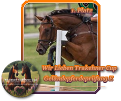 Siegerin Junge Geländepferde beim Wir Lieben Trakehner Cup