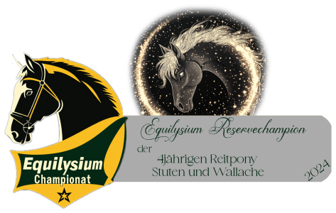 Reservesiegerin der 4jährigen Reitponystuten und -wallache beim Equilysium-Championat