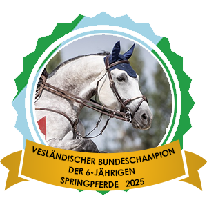 Bundeschampionesse der 6jährigen Springpferde 2025
