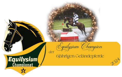 Siegerin der 6jährigen Vielseitigkeitspferde beim Equilysium Championat