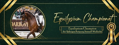 Championesse der 4jährigen Reitponystuten & -wallache beim Equilysium Championat 2025