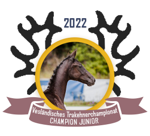 Juniorchampionesse beim 4. vesländischen Trakehnerchampionat am Sternhof