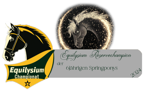 Reservesieger der 6jährigen Springponys beim Equilysium Championat