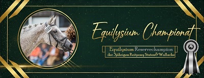 Reservechampionesse der 3jährigen Reitponystuten & -wallache beim Equilysium Championat 2025