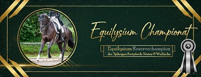 Reservechampionesse der 3jährigen Reitpferdestuten & -wallache beim Equilysium Championat 2025