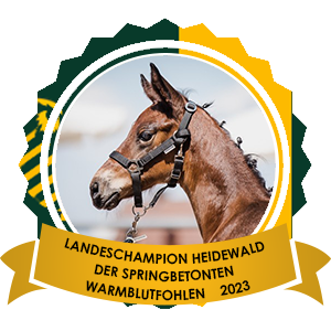 Landesfohlenchampion Heidewald der springbetonten Warmblutfohlen