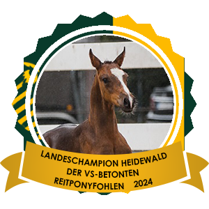 17.08.2024: Landesfohlenchampion Heidewald der VS-betonten Reitponys Landesfohlenchampion Heidewald der VS-betonten Reitponys