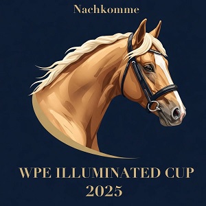 22.05.2025: Teilnahme an der Illuminated-Nachkommenschau Teilnahme an der Illuminated-Nachkommenschau