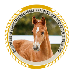 Siegerin des Cibus Breeders Cup Vesländer Stuten Süd