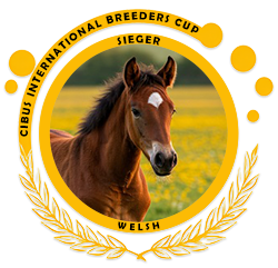 Siegerin des Cibus Breeders Cup Welsh