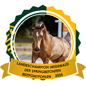 16.08.2025: Landesfohlenchampion der springbetonten Vesländer Reitponys Heidewald Landesfohlenchampion der springbetonten Vesländer Reitponys Heidewald