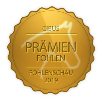 Teilnahme Cibus Prämien-Fohlenschau
