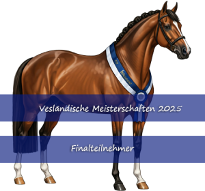 Qualifiziert für eine Finalprüfung der vesländischen Meisterschaften 2025