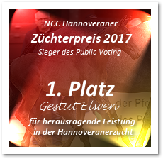 Sieger des NCC Hannovarener-Züchterpreis 2017